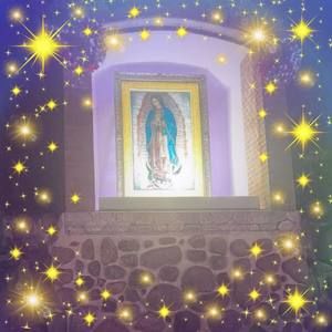 Meet your Posher, Luis